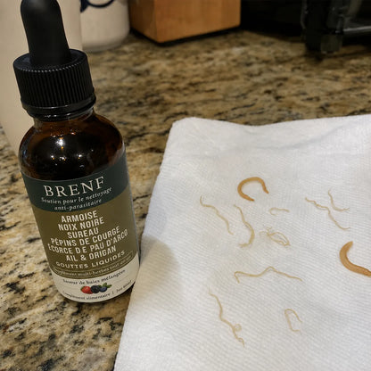 Gouttes aux herbes d’armoise sauvage récoltée à l’état naturel BRENF
