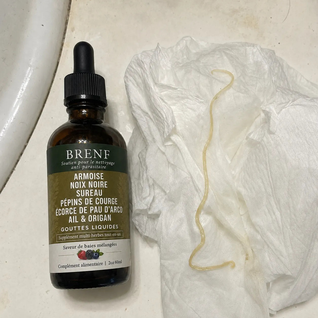 Gouttes aux herbes d’armoise sauvage récoltée à l’état naturel BRENF