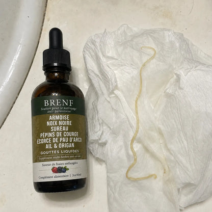 Gouttes aux herbes d’armoise sauvage récoltée à l’état naturel BRENF