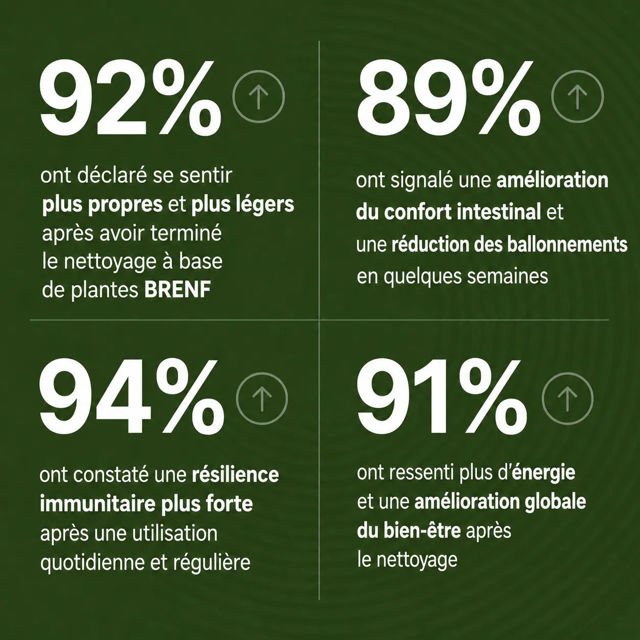 Gouttes aux herbes d’armoise sauvage récoltée à l’état naturel BRENF