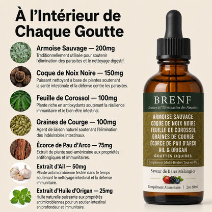 Gouttes aux herbes d’armoise sauvage récoltée à l’état naturel BRENF