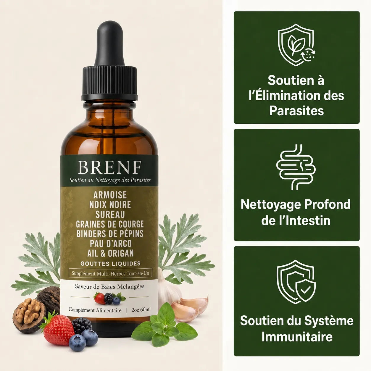 Gouttes aux herbes d’armoise sauvage récoltée à l’état naturel BRENF