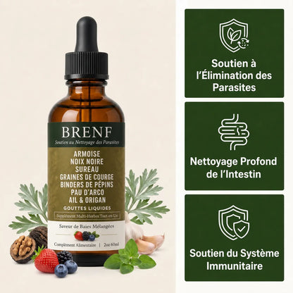 Gouttes aux herbes d’armoise sauvage récoltée à l’état naturel BRENF