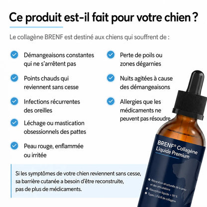 Collagène Liquide Premium TOKLER