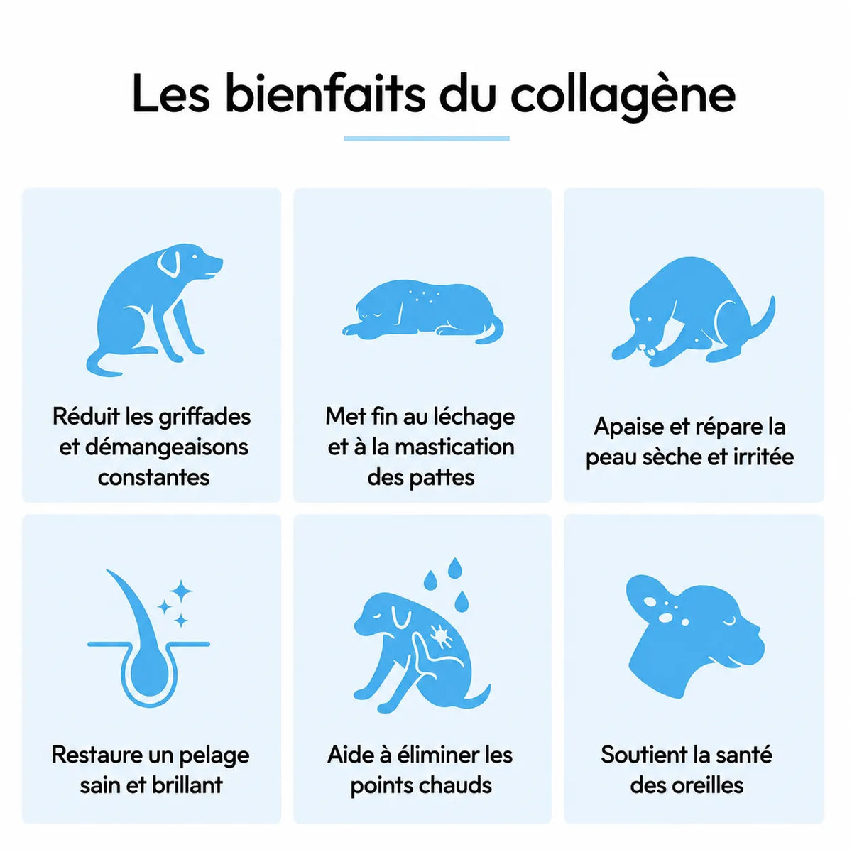 Collagène Liquide Premium TOKLER