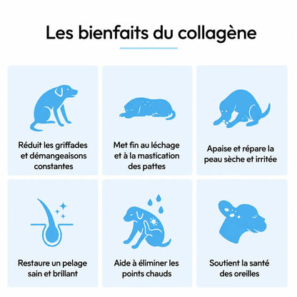 Collagène Liquide Premium TOKLER